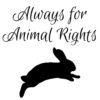 Interview with Tomas Anthony about vegan outreach, the animal holocaust, and being a vegan in a non-vegan world